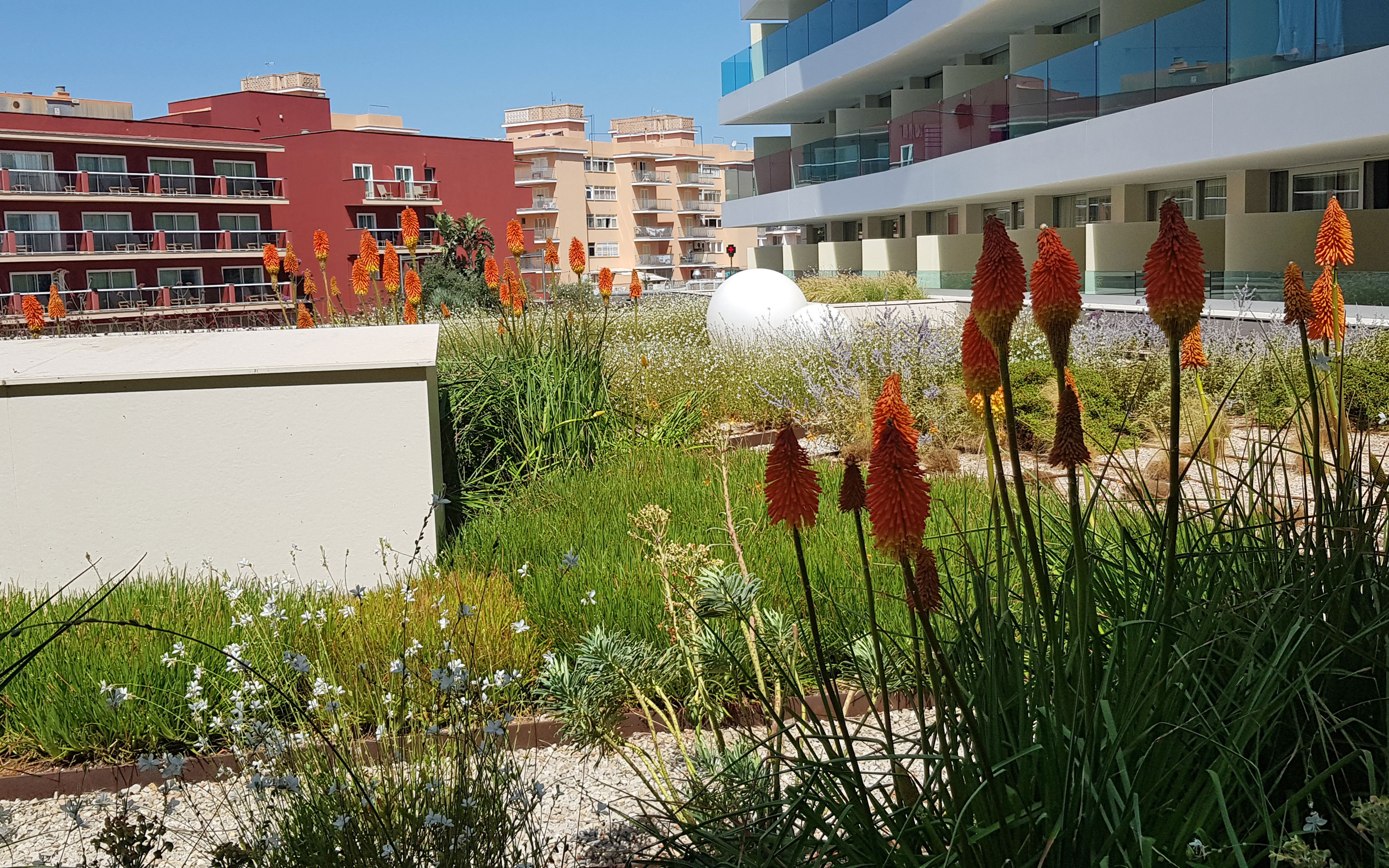 Flower beds with steppe candle and a gravel path